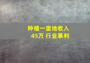 种植一亩地收入45万 行业暴利